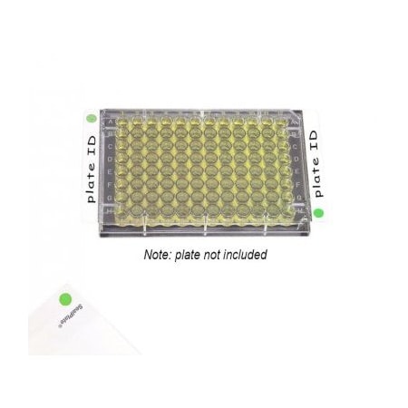 Excel Scientific SealPlate ColorTab Film, Non-Sterile, Green, 100/pk, 100PK 202527G